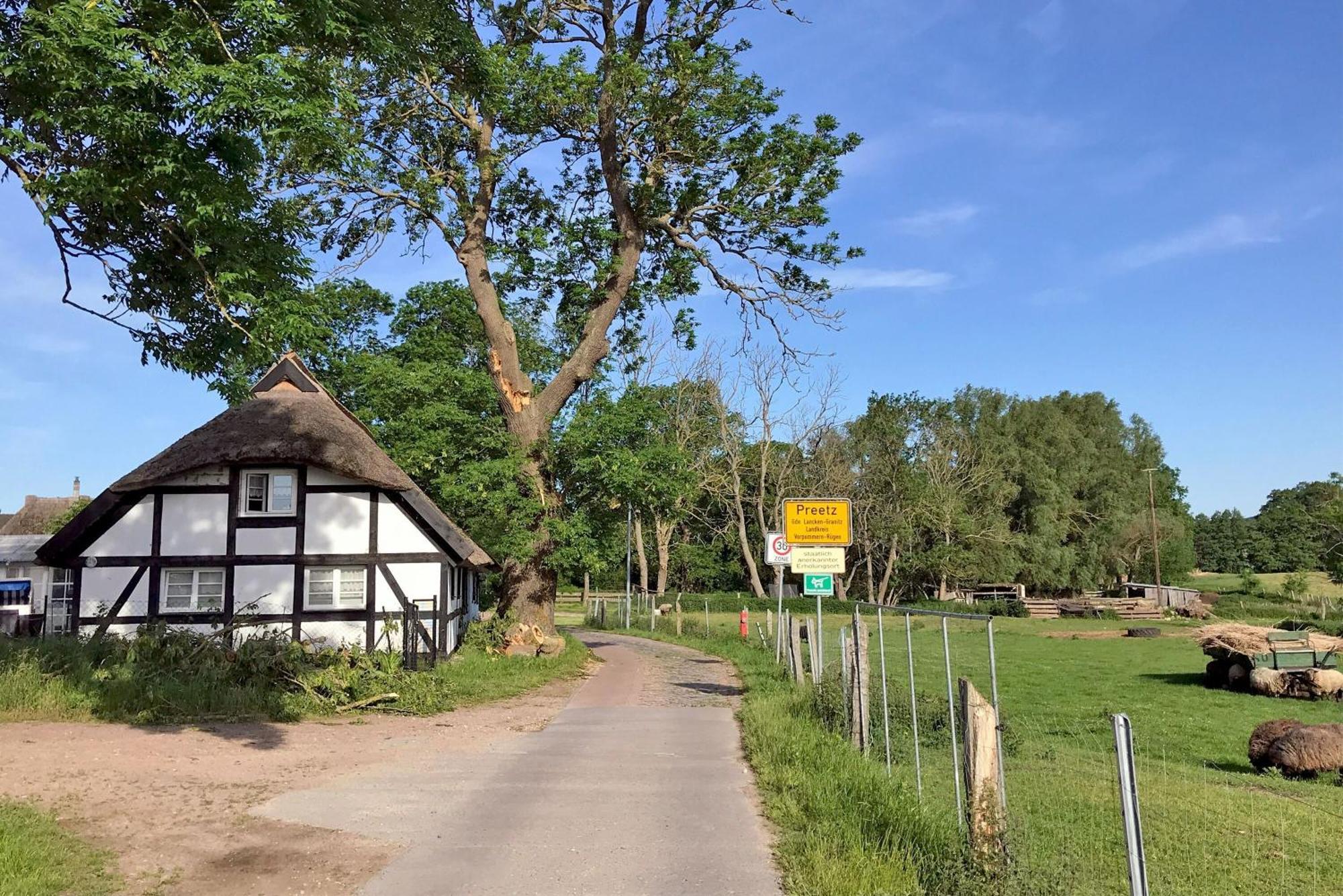 Ferienhaus Preetz 1A - Idylle Unter Reet Burtevitz Εξωτερικό φωτογραφία